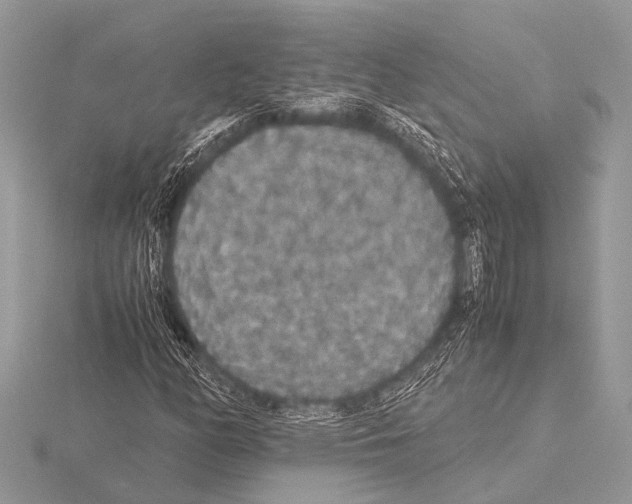 X0000115341158200912141233