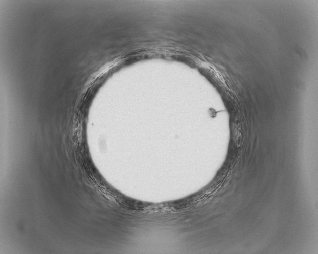 X0000115341159200912141233