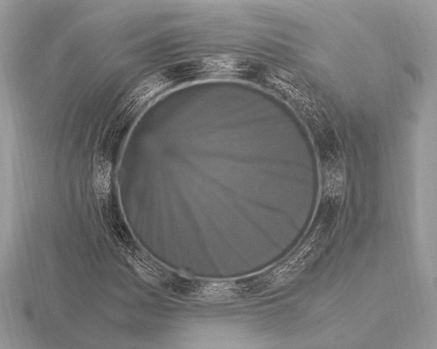 X0000115341161200912141233