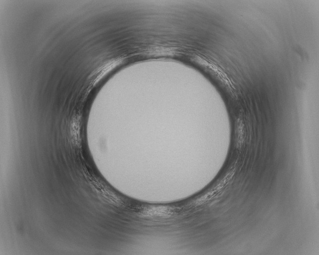 X0000115341162200912141233