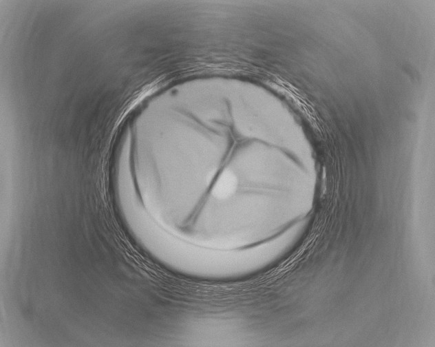 X0000115341165200912141233