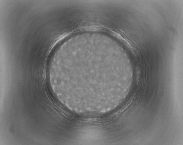 X0000115341166200912141233