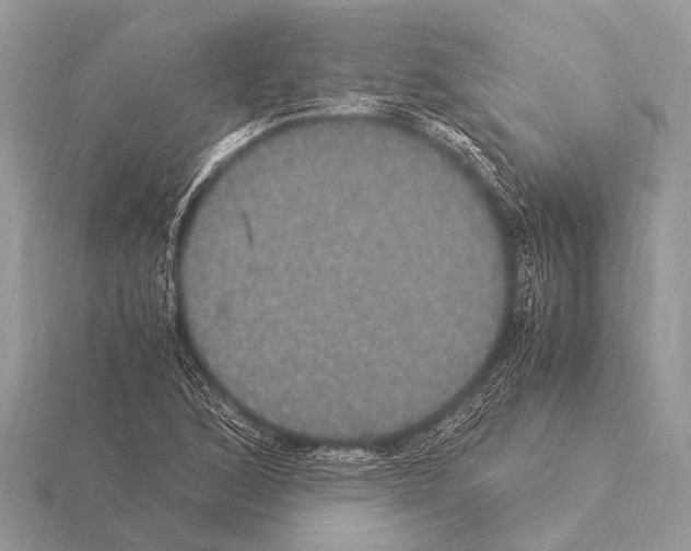 X0000115341168200912141233