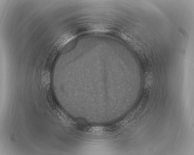 X0000115341169200912141233