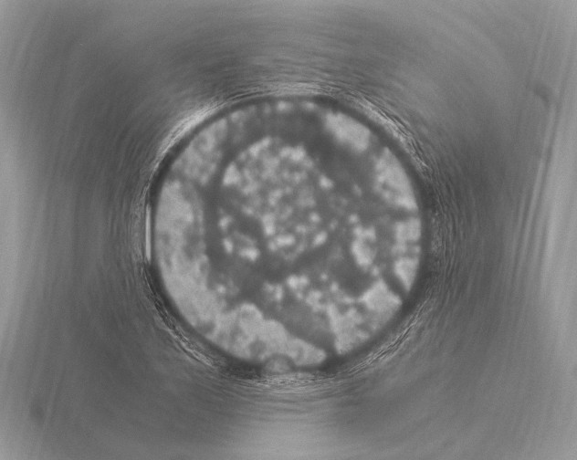 X0000115341171200912141233