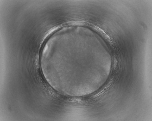 X0000115341174200912141233