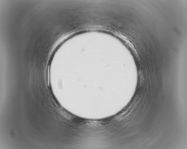 X0000115341175200912141233