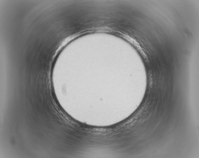 X0000115341176200912141233