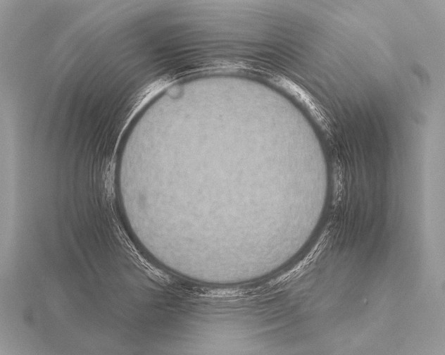 X0000115341178200912141233