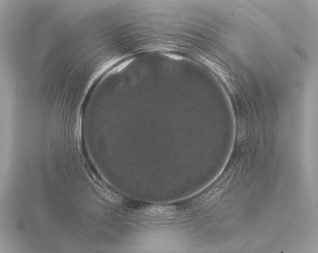 X0000115341179200912141233