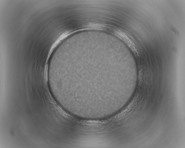 X0000115341180200912141233