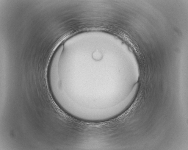 X0000115341181200912141233