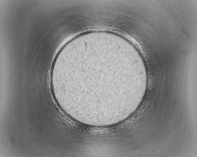 X0000115341183200912141233