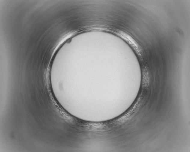 X0000115341190200912141233