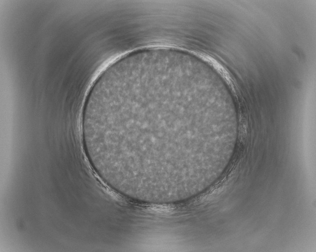 X0000115341191200912141233