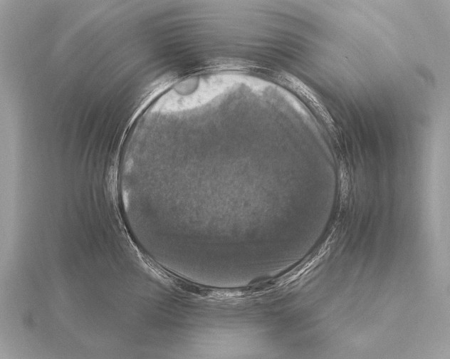 X0000115341194200912141233