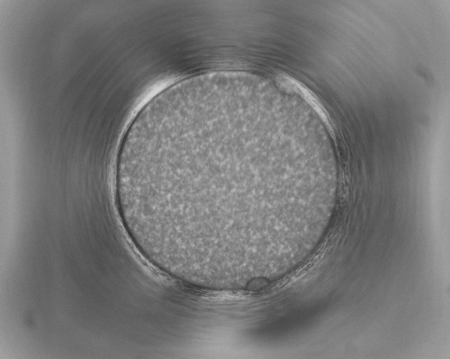 X0000115341195200912141233