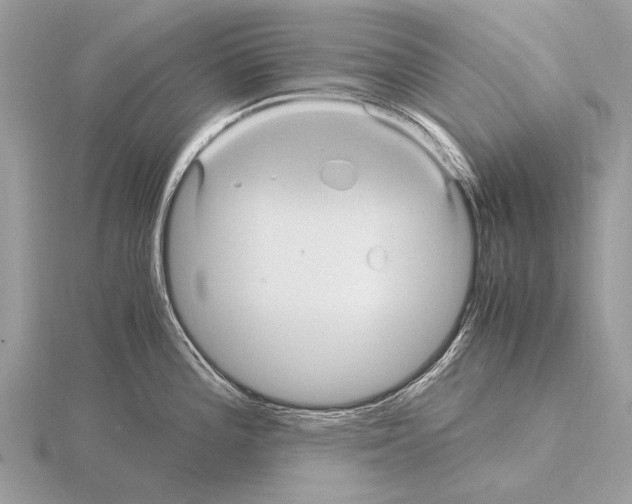 X0000115341196200912141233