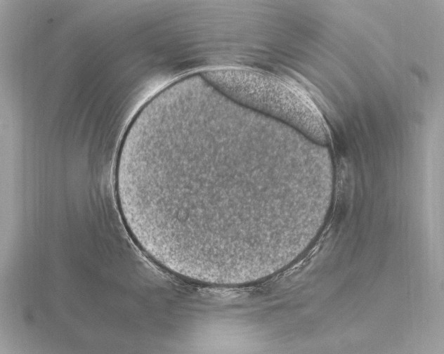 X0000115341197200912141233