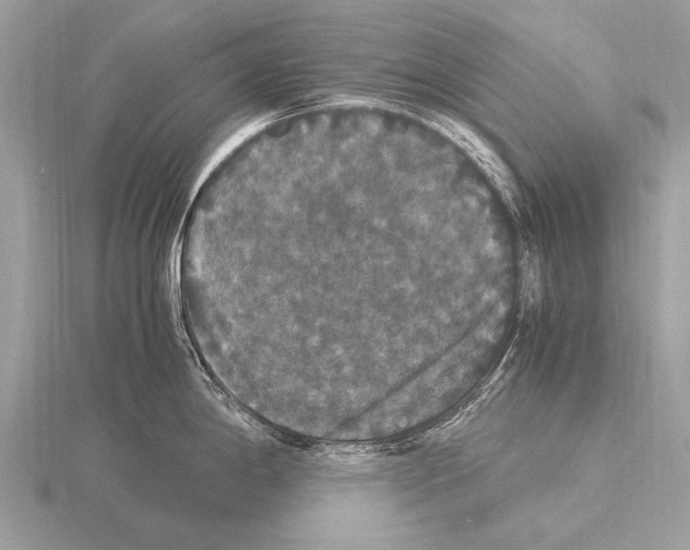 X0000115341198200912141233