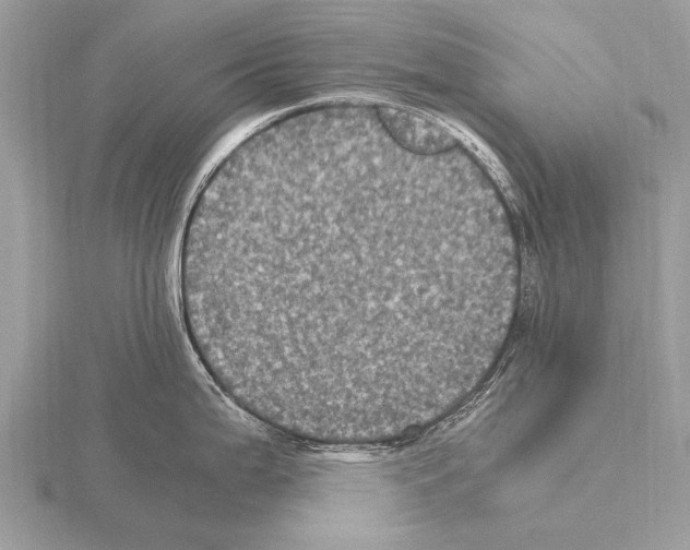 X0000115341199200912141233