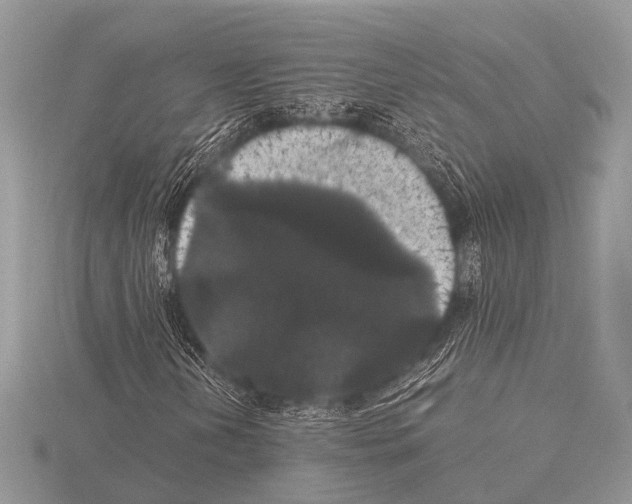 X0000115341202200912141232