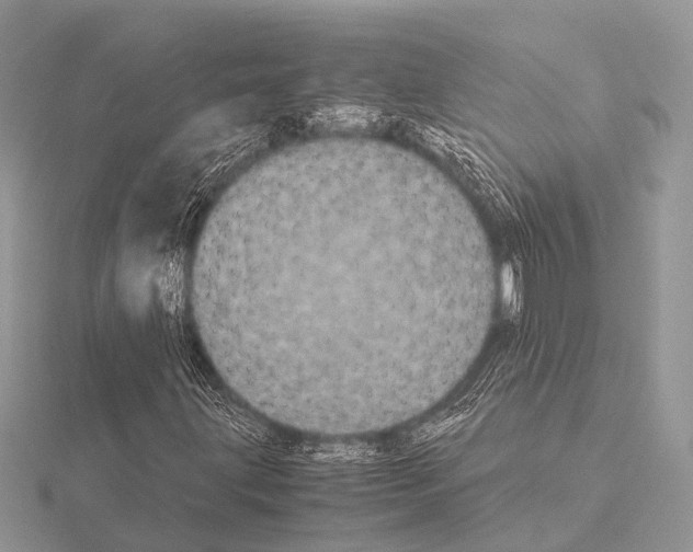 X0000115341203200912141232