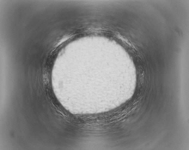 X0000115341206200912141232