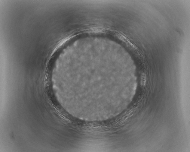 X0000115341208200912141232