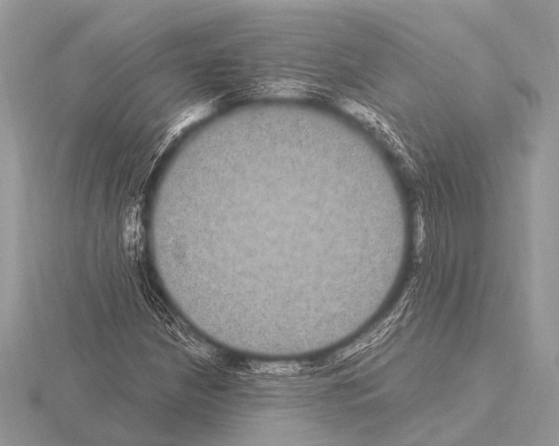 X0000115341210200912141232