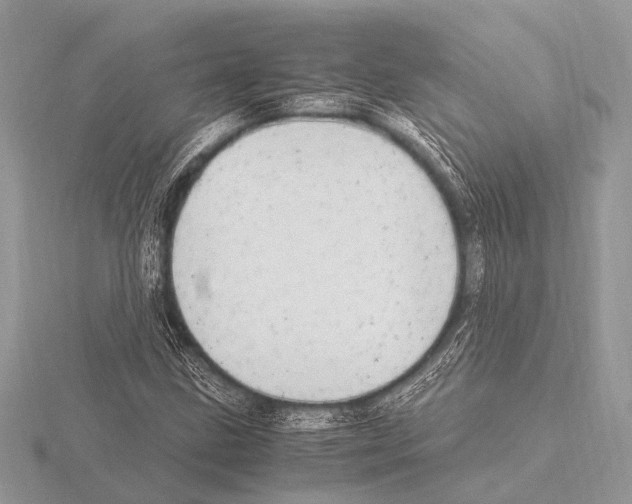 X0000115341211200912141232