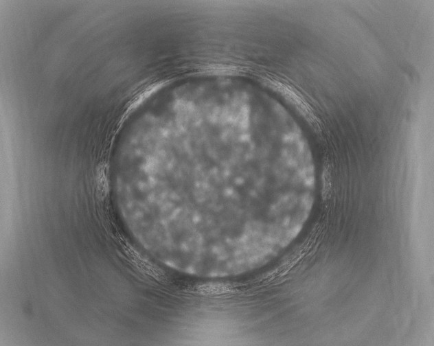 X0000115341212200912141232