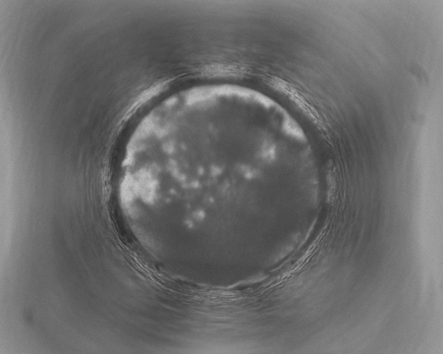 X0000115341213200912141232