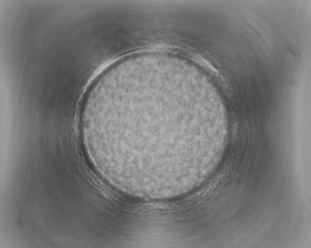 X0000115341216200912141232