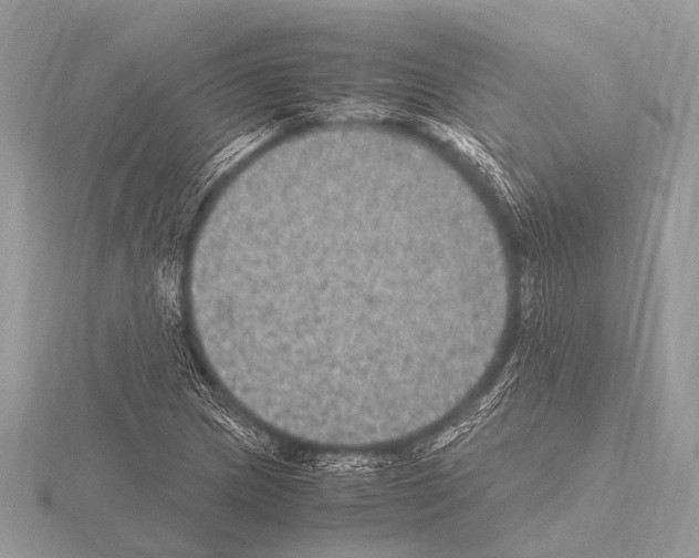 X0000115341217200912141232