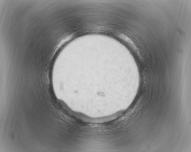 X0000115341218200912141232