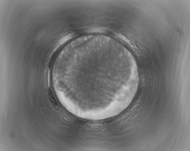 X0000115341219200912141233