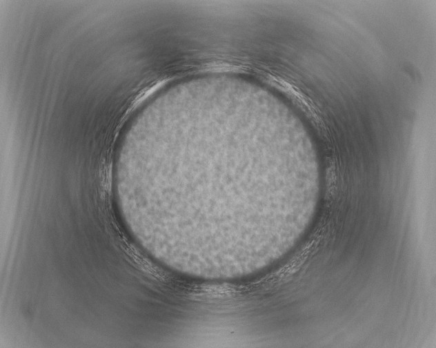 X0000115341220200912141233