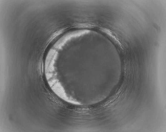 X0000115341221200912141233