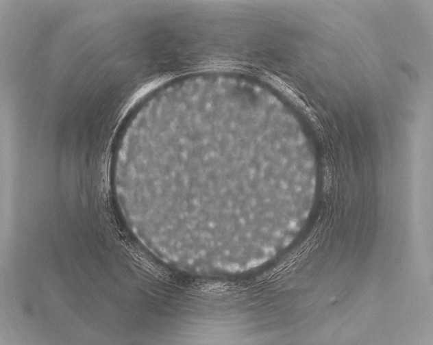 X0000115341222200912141233