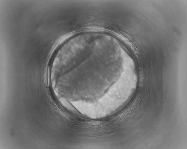 X0000115341223200912141233