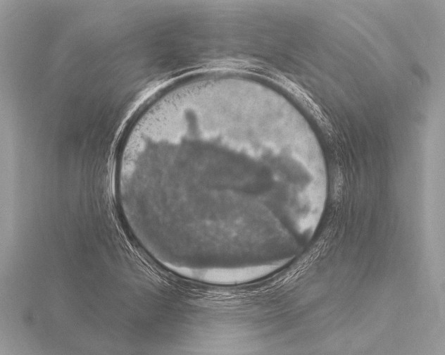 X0000115341224200912141233