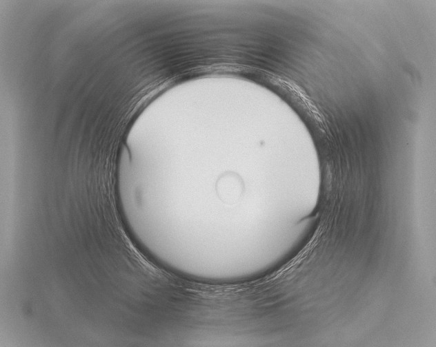 X0000115341225200912141233