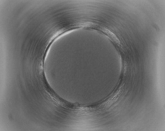 X0000115341226200912141233