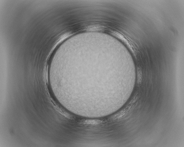 X0000115341227200912141233