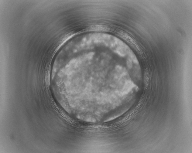 X0000115341228200912141233