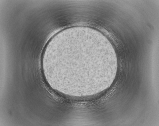 X0000115341230200912141233