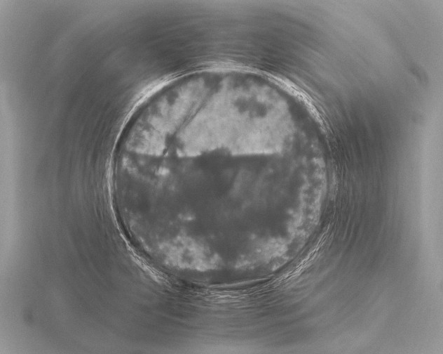 X0000115341231200912141233