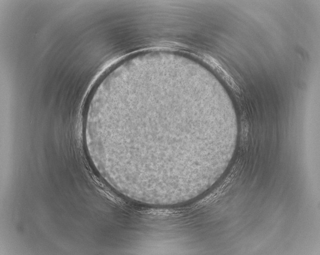 X0000115341232200912141233