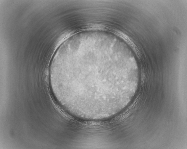 X0000115341234200912141233